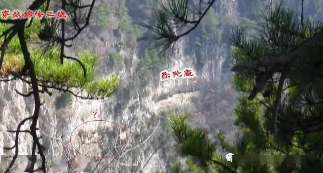 许昌市市场监督管理局魏都区分局开展处方药销售专项整治
