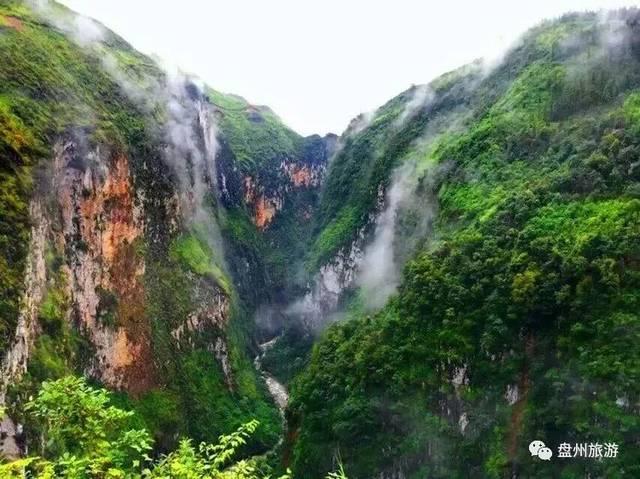 力争在数据产业上实现新的突破 通过“链主”效应带动产业集聚的落地